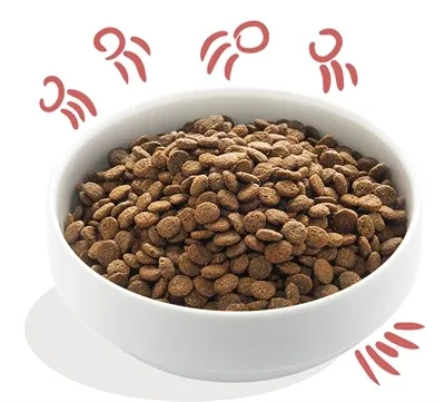 Edgard & Cooper Senior Verse Scharrelkip / Noorse Zalm Graanvrij - 12 kg - Image 2