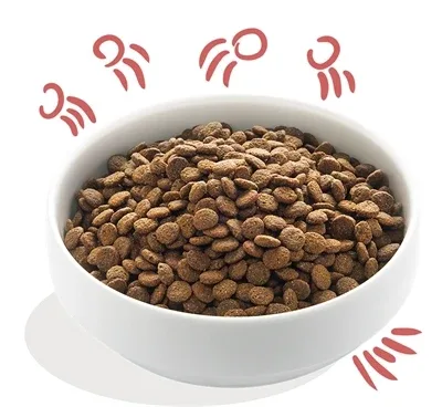 Edgard & Cooper Senior Verse Scharrelkip / Noorse Zalm Graanvrij - 7 kg - Image 2