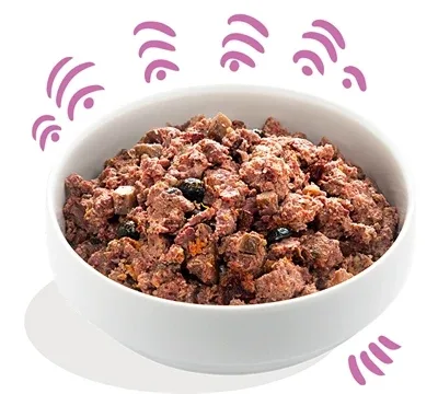 EDGARD & COOPER WILD / EEND BLIK GRAANVRIJ 6X400 GR - Image 2