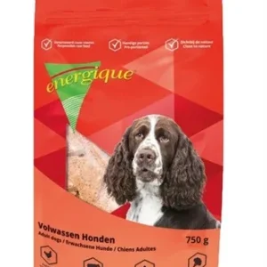 Energique Nr 1 Volwassen Hond - 750 gr