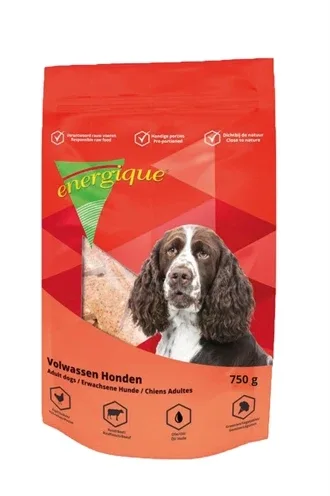 Energique Nr 1 Volwassen Hond - 750 gr