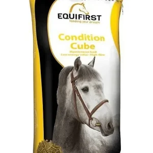Equifirst Condition Cube (voor vervangend product klik hier)