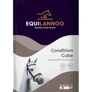 Equilannoo Condition Cube (Voorheen Equifirst Condition Cube)