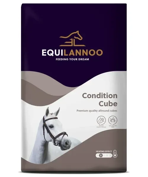 Equilannoo Condition Cube (Voorheen Equifirst Condition Cube)