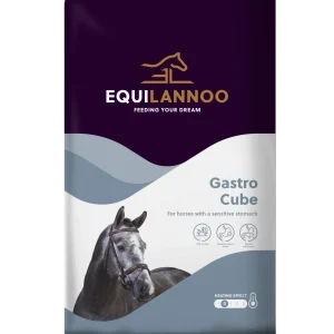 Equilannoo Gastro Cube 20 kg