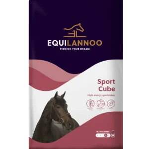 Equilannoo Sport Cube 20 kg