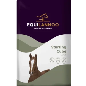 Equilannoo Starting Cube 20 kg