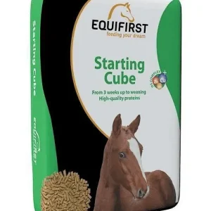 Equilannoo Starting Cube (voor veulens tot een leeftijd van 1 jaar)