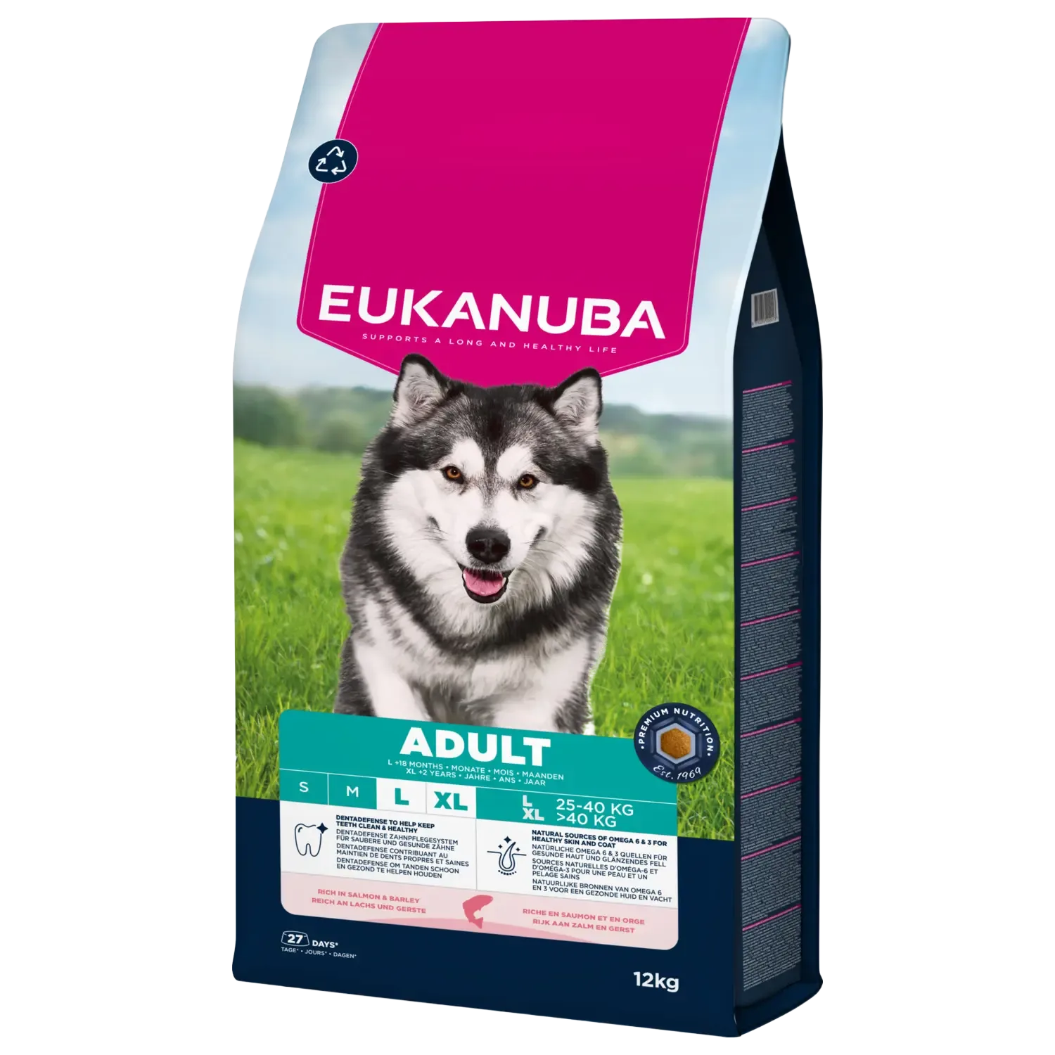 Eukanuba Adult Large Zalm en Gerst 12 kg