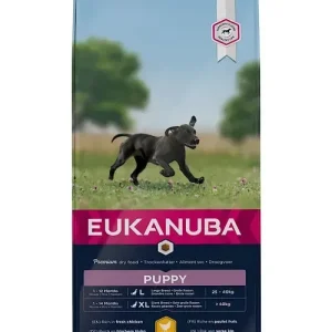 Eukanuba Puppy large breed Kip (met Omega 3 en 6)