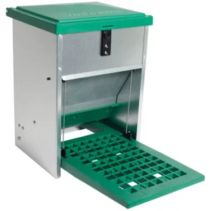 Feedomatic Automatische Voerbak 5 kg Groen | Metaal