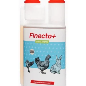 Finecto Cox & Worm