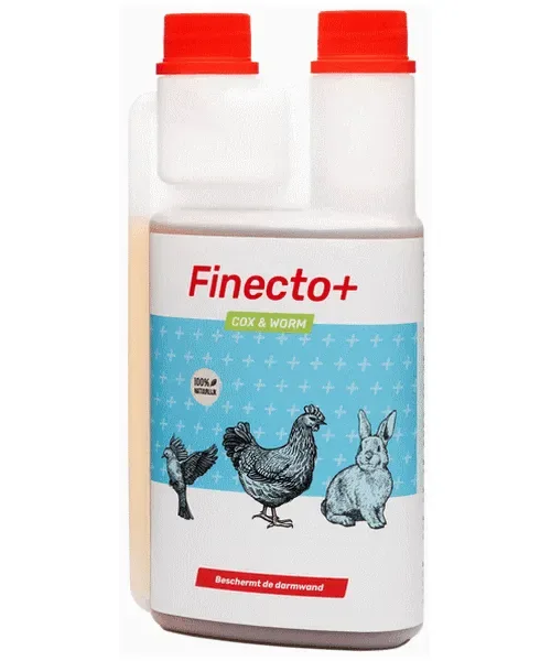 Finecto Cox & Worm