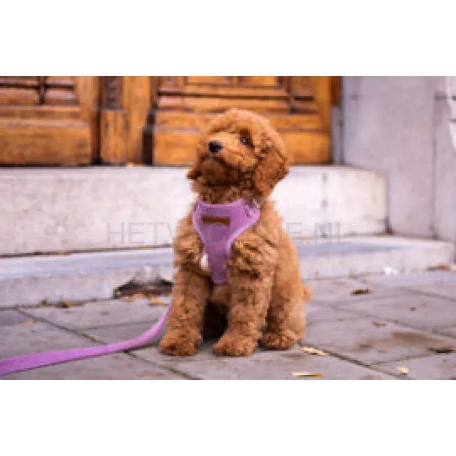 FLOOFS AND COOKIES - Velvy Lavie Harnas - Image 2