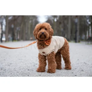FLOOFS AND COOKIES - Walking Teddy Bear Beige