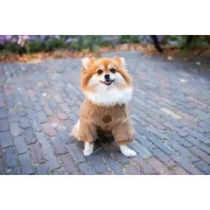 FLOOFS AND COOKIES - Walking Teddy Bear Browny Fudge