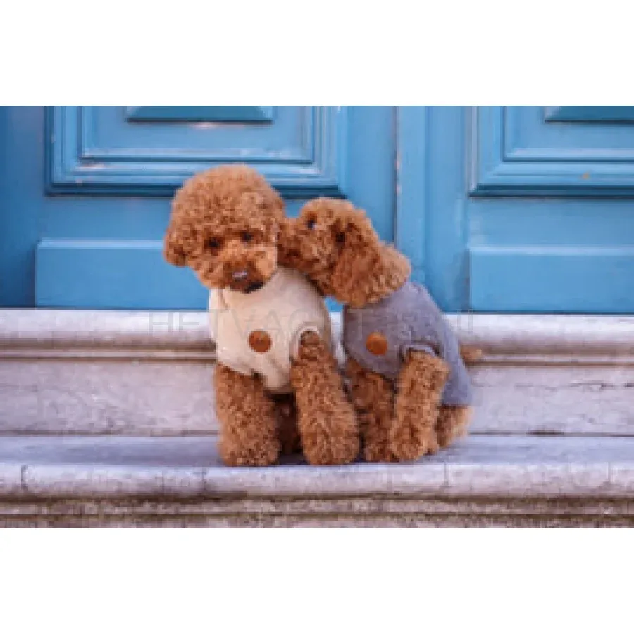 FLOOFS AND COOKIES - Walking Teddy Bear Darky Grey - Image 2
