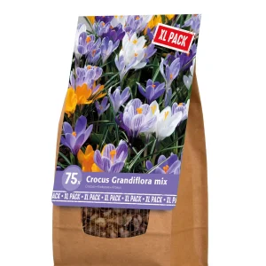 Florex Krokus mix- Bloembollen - XL zak