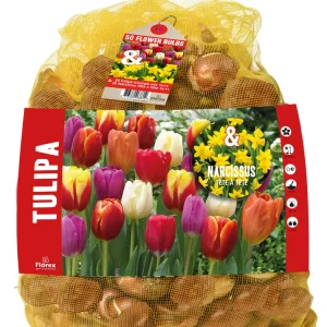 Florex Tulp - Narcis - Bloembollen