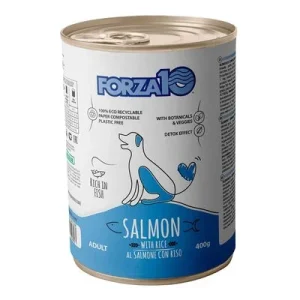 Forza 10 Maintenance Zalm & Rijst