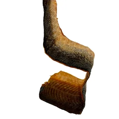 Freds Zalmhuid Blafstastische Hondensnack - Image 2