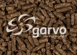 Garvo 5501 PEP protein - Image 2
