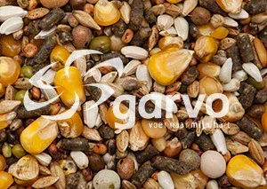 Garvo 7000 g-spirits marathon - Image 2