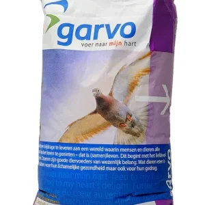 Garvo 7000 g-spirits marathon