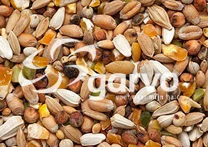 Garvo 870 Wilde Duivenvoer - Image 2