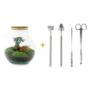Glazen Plantenbak! - Teddy Bonsai - DIY - met hark, schep, pincet en schaar