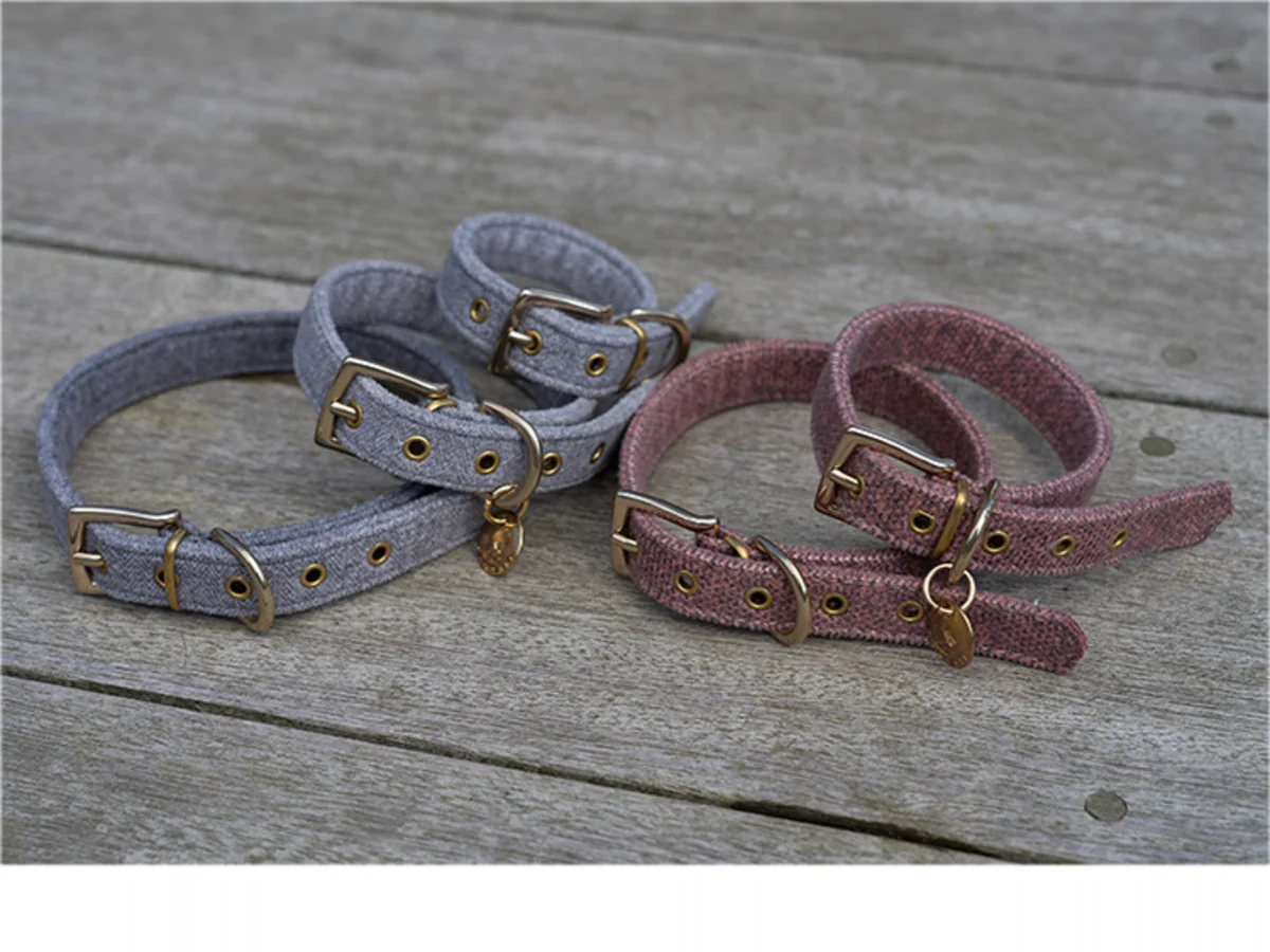 HALSBAND HOND STØV DONKERGRIJS - Image 2