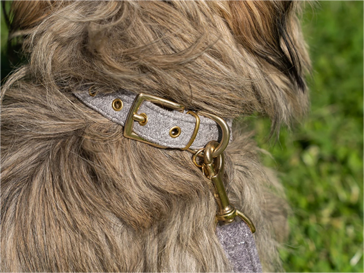 HALSBAND HOND STØV LICHTGRIJS - Image 2