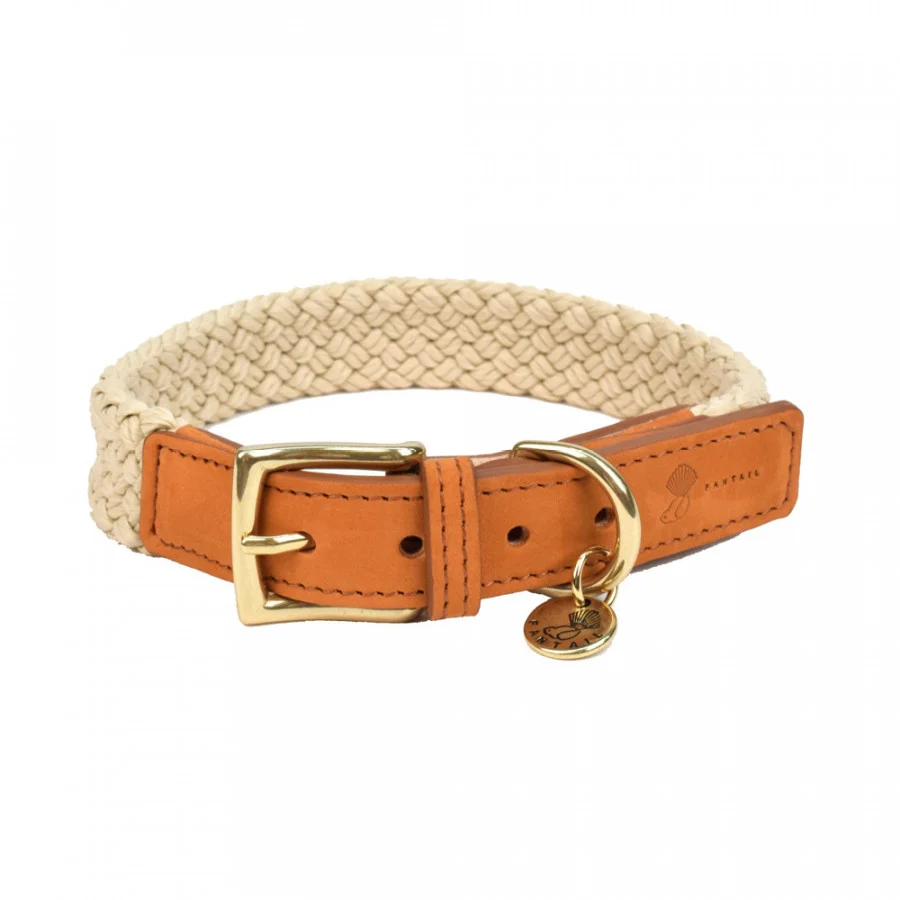 HALSBAND HOND TAU LICHTBRUIN