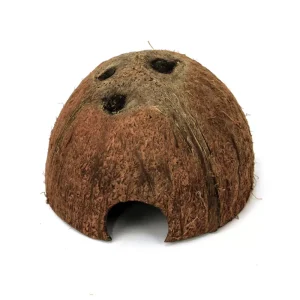 Halve kokosnoot