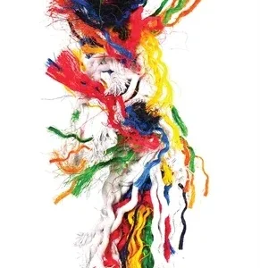 Happy Pet Speelgoed Papegaai Plucker 8x8x28 cm - Assorti