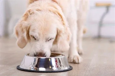 Happy Pet Voerbak Antislip 14 cm - Image 2