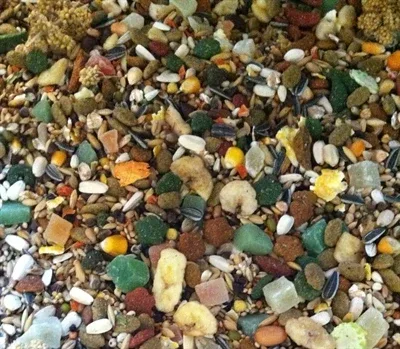 Hareco Papegaai Select Zonder Pellets - 5 kg - Image 2
