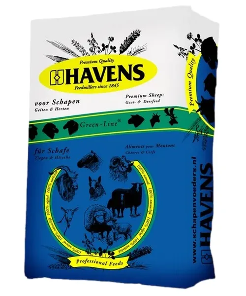 Havens Schapenbrok Fok