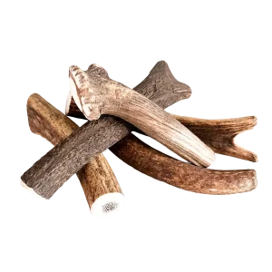 Hertengewei XL