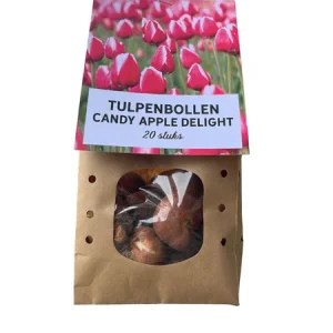 Het Nederlandse Cadeau: 20 Tulpenbollen Candy Apple Delight, bloembollen