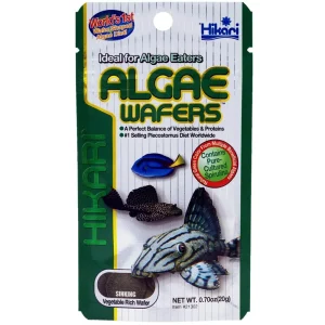 Hikari Algae Wafers