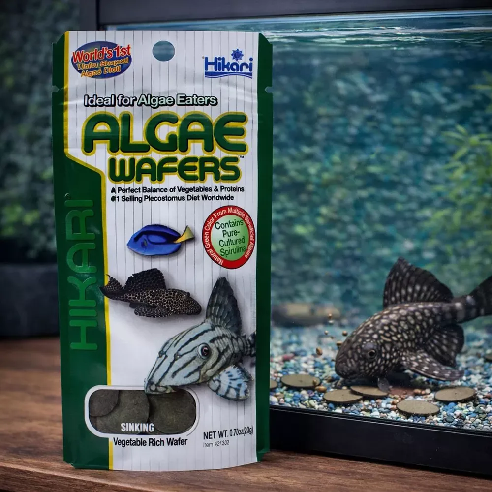 Hikari Algae Wafers - Image 2
