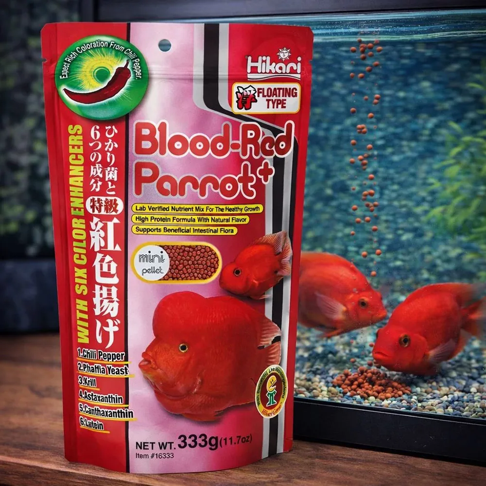 Hikari Blood-Red Parrot - Image 2
