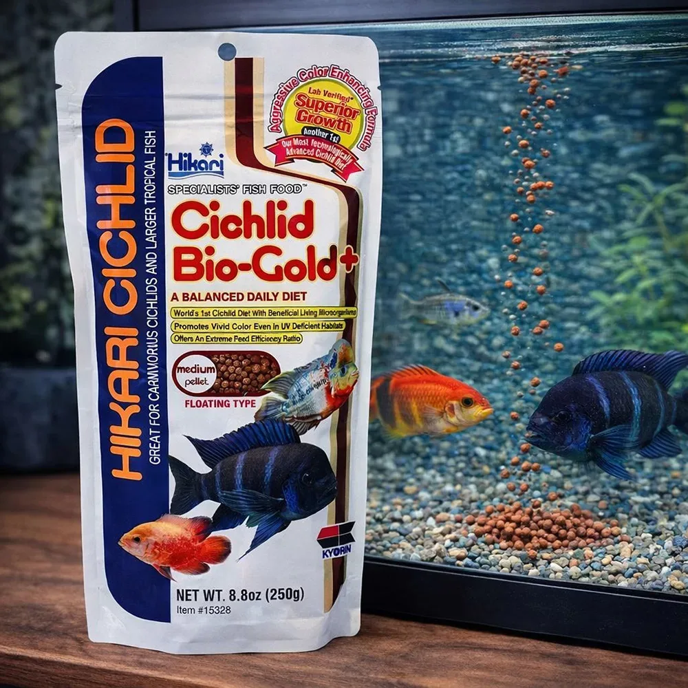 Hikari Cichlid Bio Gold - Image 2