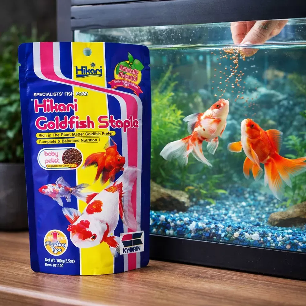 Hikari Goldfish Staple Baby - Image 2