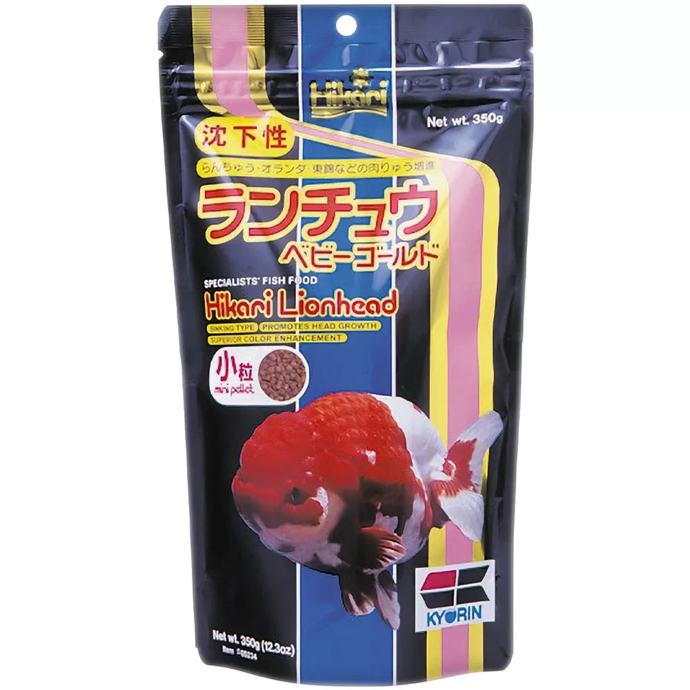 Hikari Lionhead Mini