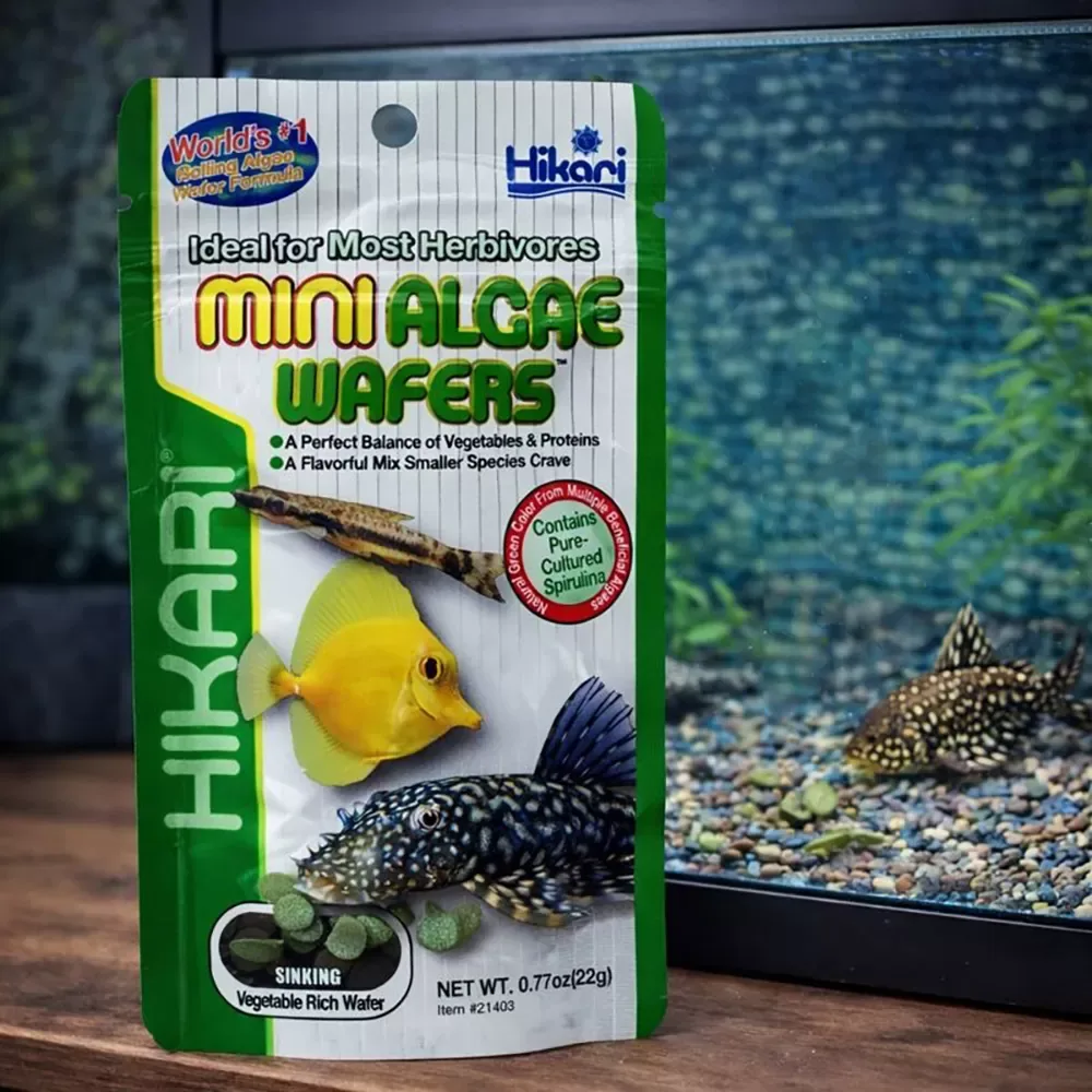 Hikari Mini Algae Wafers - Image 2