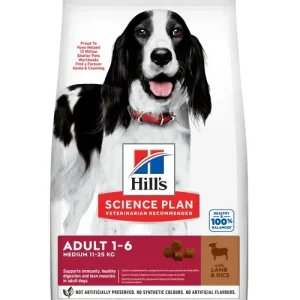 Hill's Adult Medium Lam en Rijst