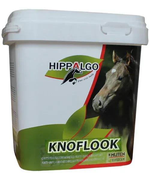 Hippalgo Knoflook