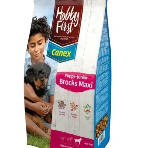 Hobbyfirst Canex Puppy-Junior Brocks Maxi